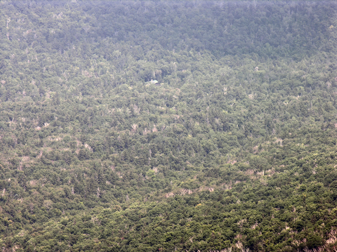 gothics_able2see_jbl