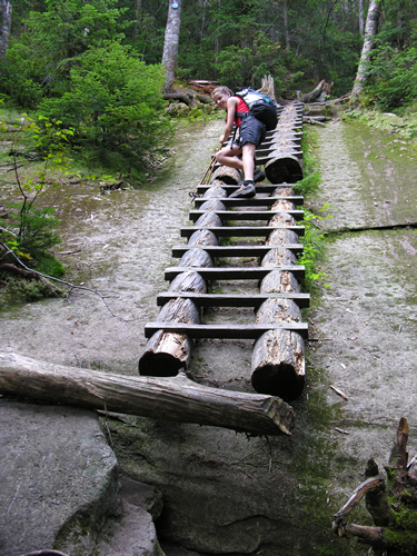 gothics_enroute_ladder